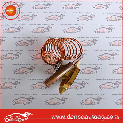 refrigeration unit bus honeywell expansion valve for Chinese Bus